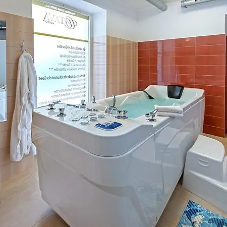 Goethe 3* Františkovy Lázně