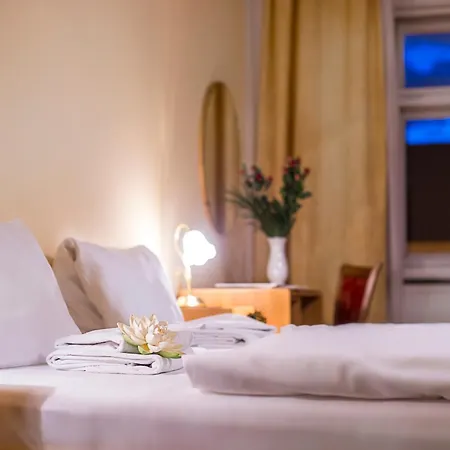 Hotel Goethe 3*