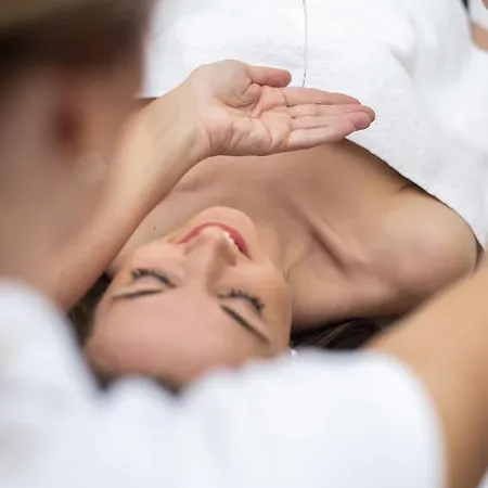 Hotel Goethe Františkovy Lázně